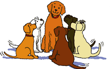 Dog Walker Cat Sitter