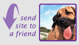 Click Here To Send This Site To A Friend