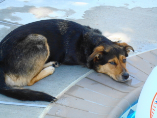 MADISON - Short Hills