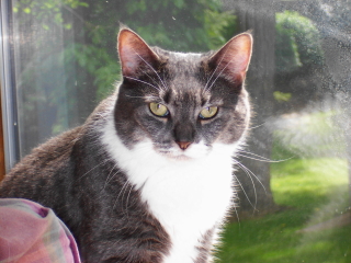 FRED - Convent Station